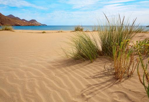 Playa de los Genoveses