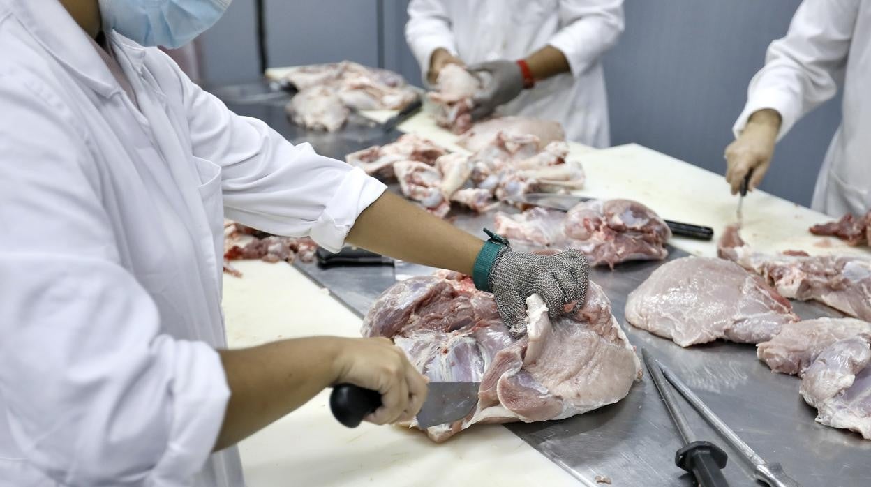Un chuletón de ternera con forma del mapa de España sobre una tabla de madera