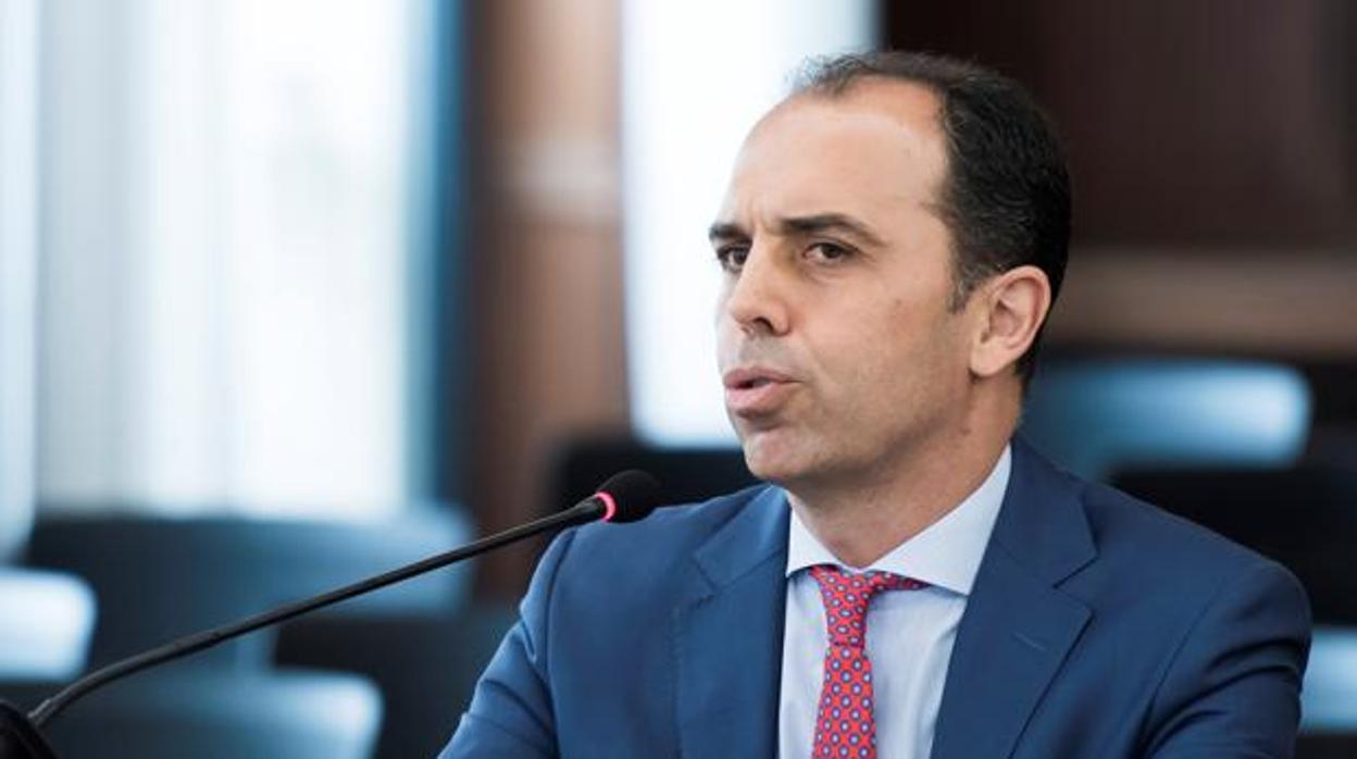 El bosque y los árboles