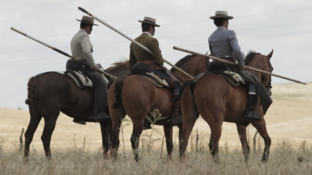 Tendadero en la finca La Cobatilla, en Utrera, en homenaje al centenario de la alternativa de Juan Belmonte