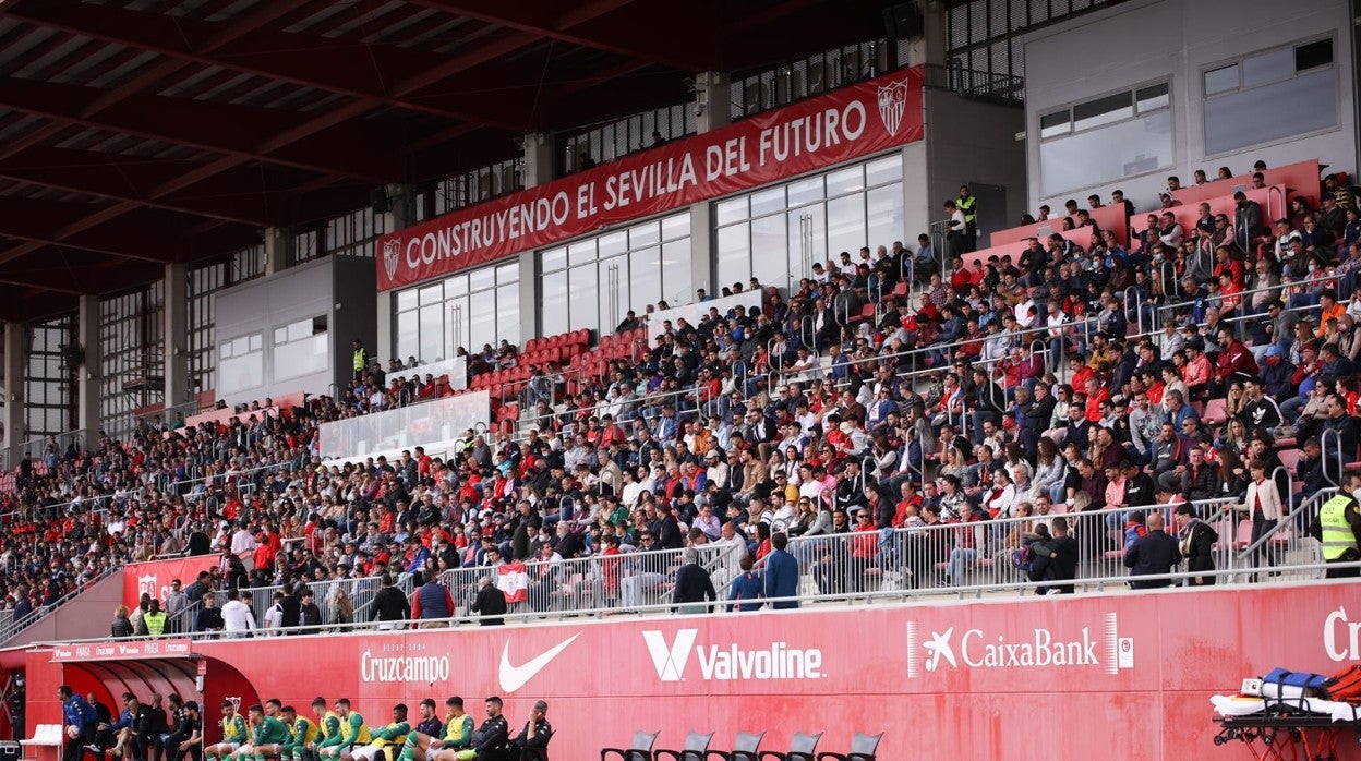 La grada principal del estadio Jesús Navas, a rebosar el día del derbi ante el Betis Deportivo
