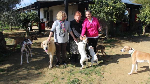 Fina Reina, presidenta de esta asociación, junto a sus socias