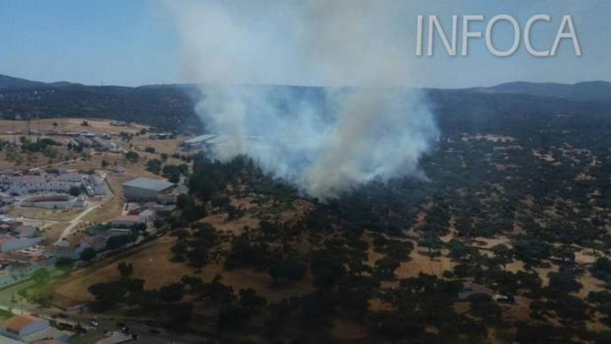 Incendio originado en El Real de la Jara