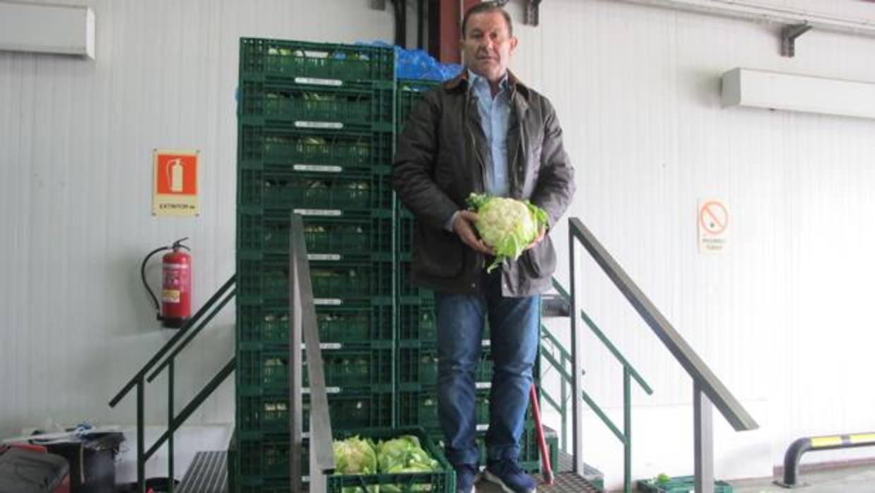 Juan Sánchez junto a un palé de coliflores listas para ser comercializadas