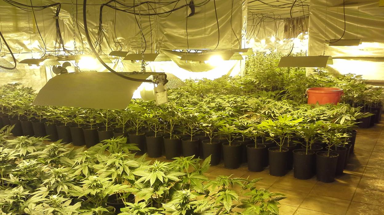 El edificio registrado tenía las ventanas selladas con poliuretanoy un importante cuadro eléctrico para el cultivo