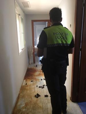 El piso estaba lleno de excrementos