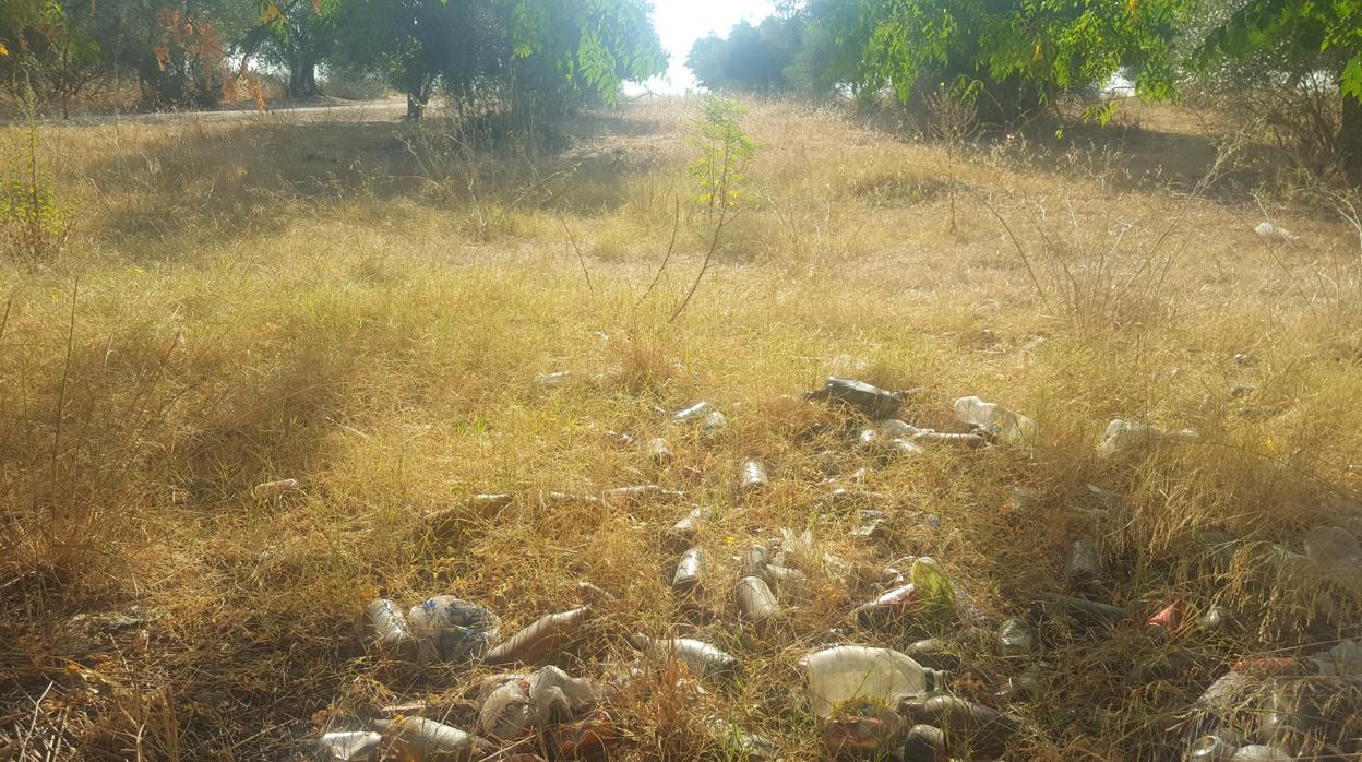 Imagen del parque de la cornisa de Gelves tomada esta semana