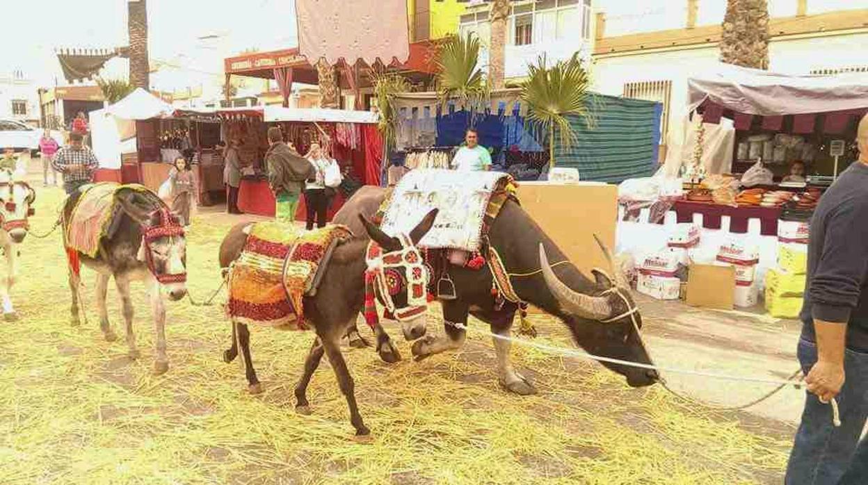 Durante todo el fin de semana la localidad de El Palmar de Troya acogerá numerosas actividades