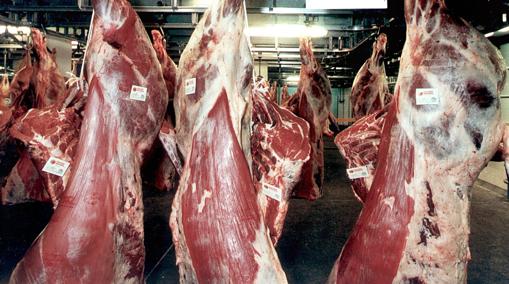 En la provincia hay siete mataderos municipales