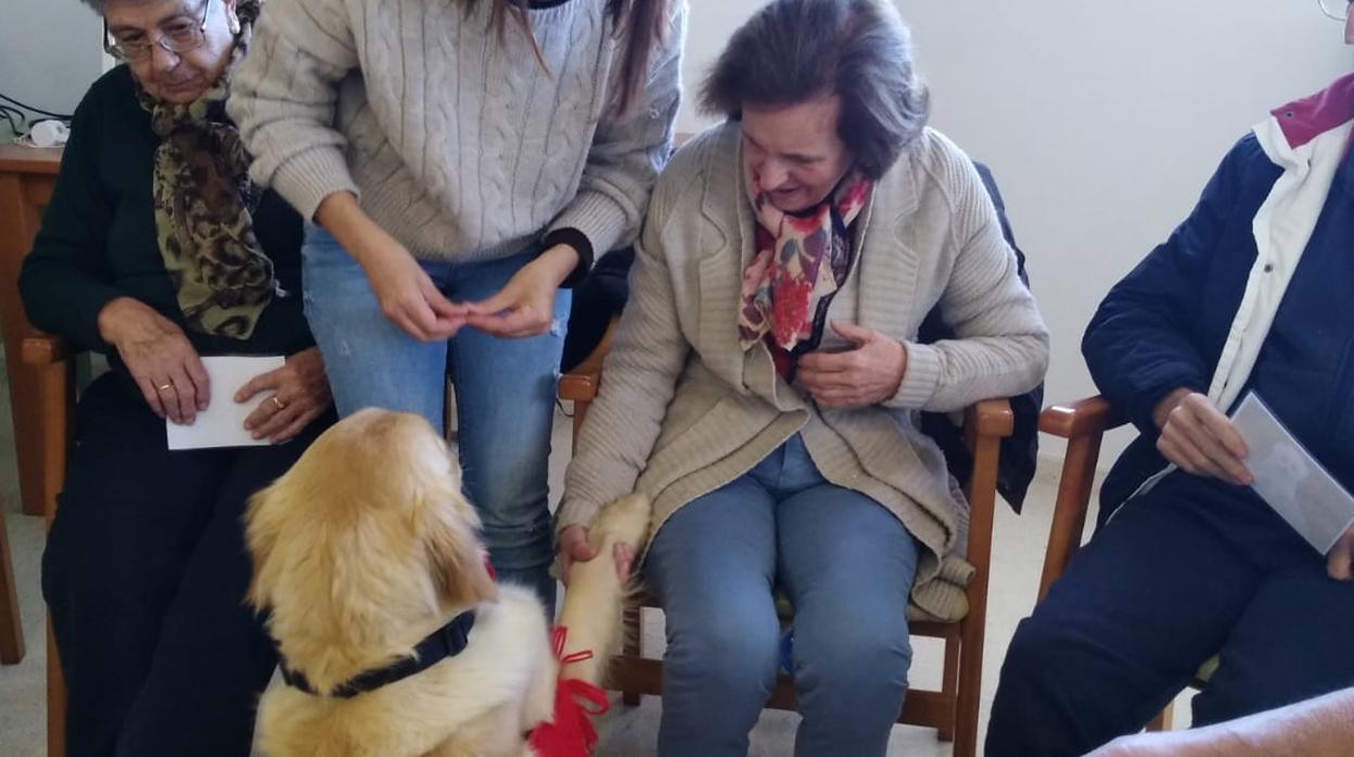 La perrita Bimba saluda a una usuaria enferma de Alzhéimer