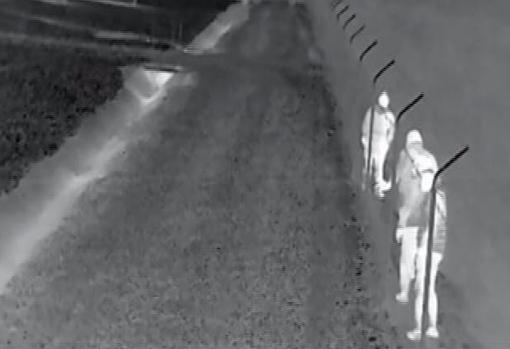 Así roba la mafia del cobre y causa pérdidas millonarias en el campo ...