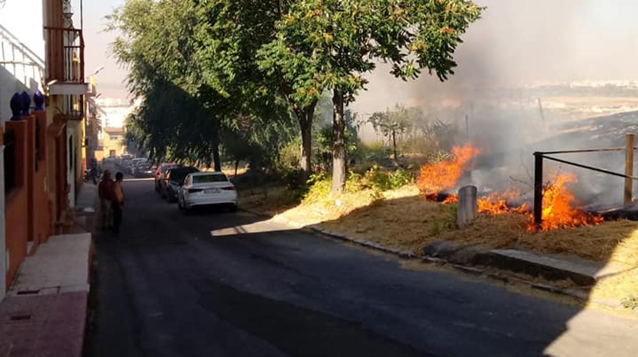 La colina del Carambolo ardía de nuevo este lunes