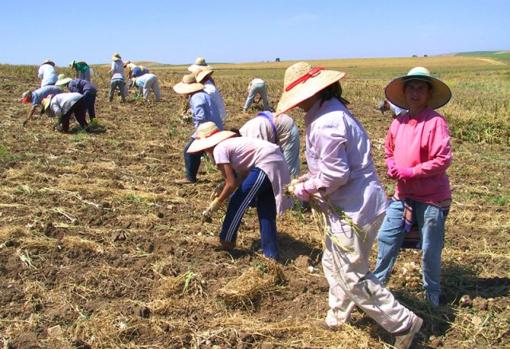 Marinaleda vuelve a situarse como el pueblo con menos ingresos