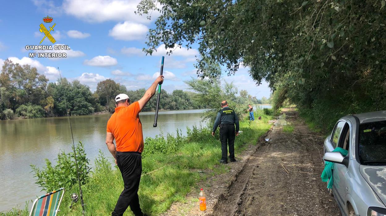 Un agente de la Guardia Civil en el momento de sorprender a tres ciudadanos rumanos pescando en el Guadalquivir en Brenes