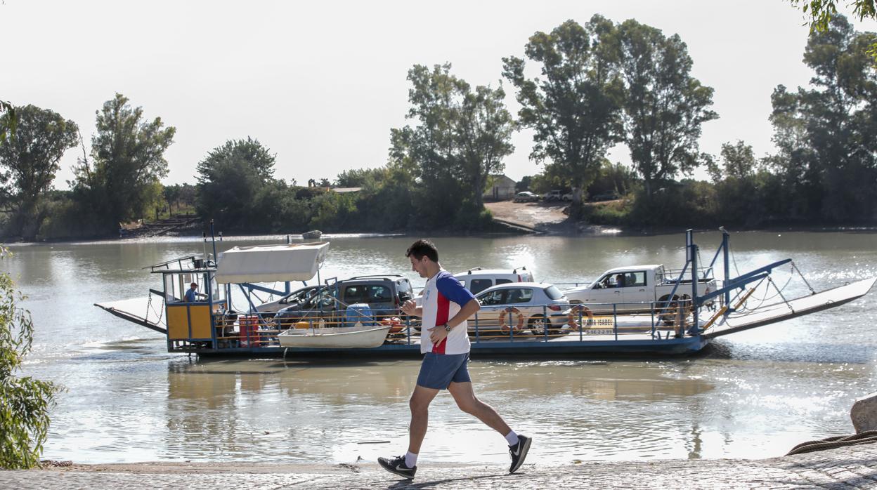 Una persona corre por el paseo fluvial de Coria del Río