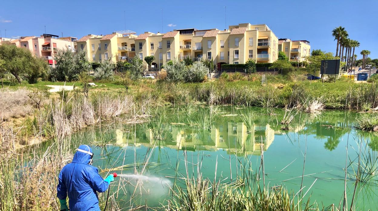 Actuación en el parque Olivar del Zaudín de Tomares