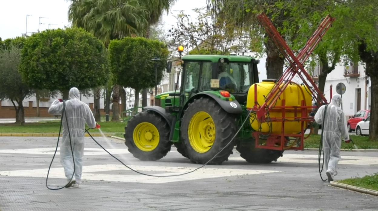 Los Palacios y Villafranca registra su primer afectado por la fiebre del Nilo F.M.R.