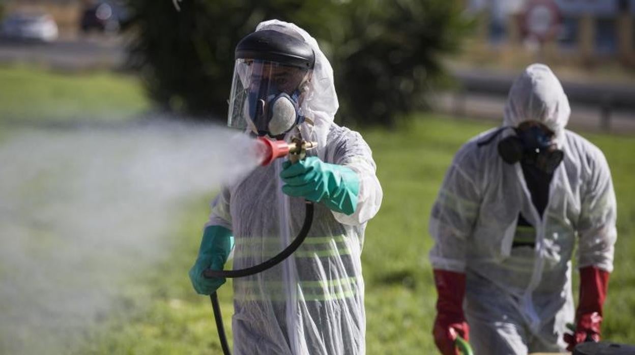 Dos operarios fumigan zonas verdes de Coria del Río este pasado verano para evitar la presencia de mosquitos
