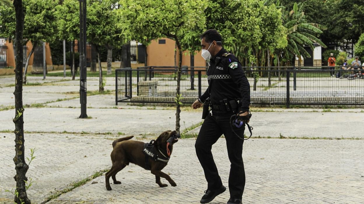 El oficial Eloy Sánchez durante un adiestramiento del perro 'Kilo'
