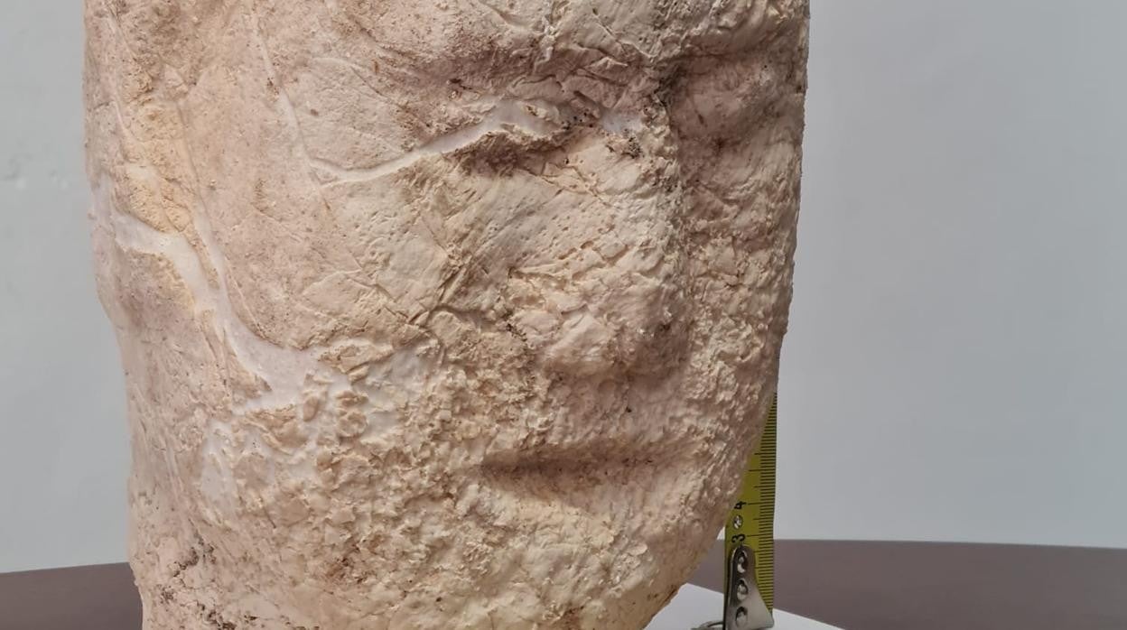 La cabeza de piedra íbera-turdetana descubierta por un vecino de El Rubio de manera fortuita