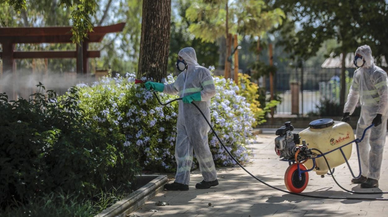 Operarios fumigan en Coria, el año pasado