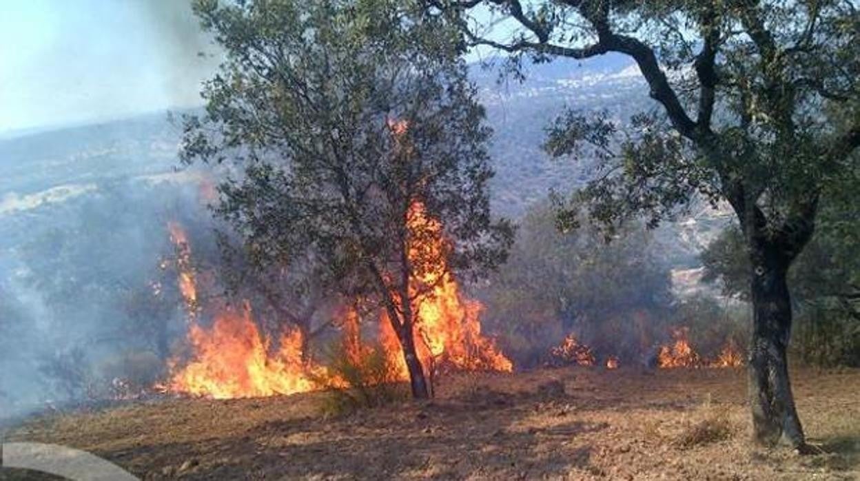 Sólo se activó un incendio en nivel 1 en El Ronquillo desactivado en unas horas