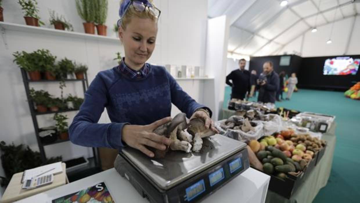 IV Feria de Productos Ecológicos de la Provincia