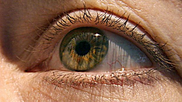 La no detección a tiempo del glaucoma conduce a la ceguera irreversible