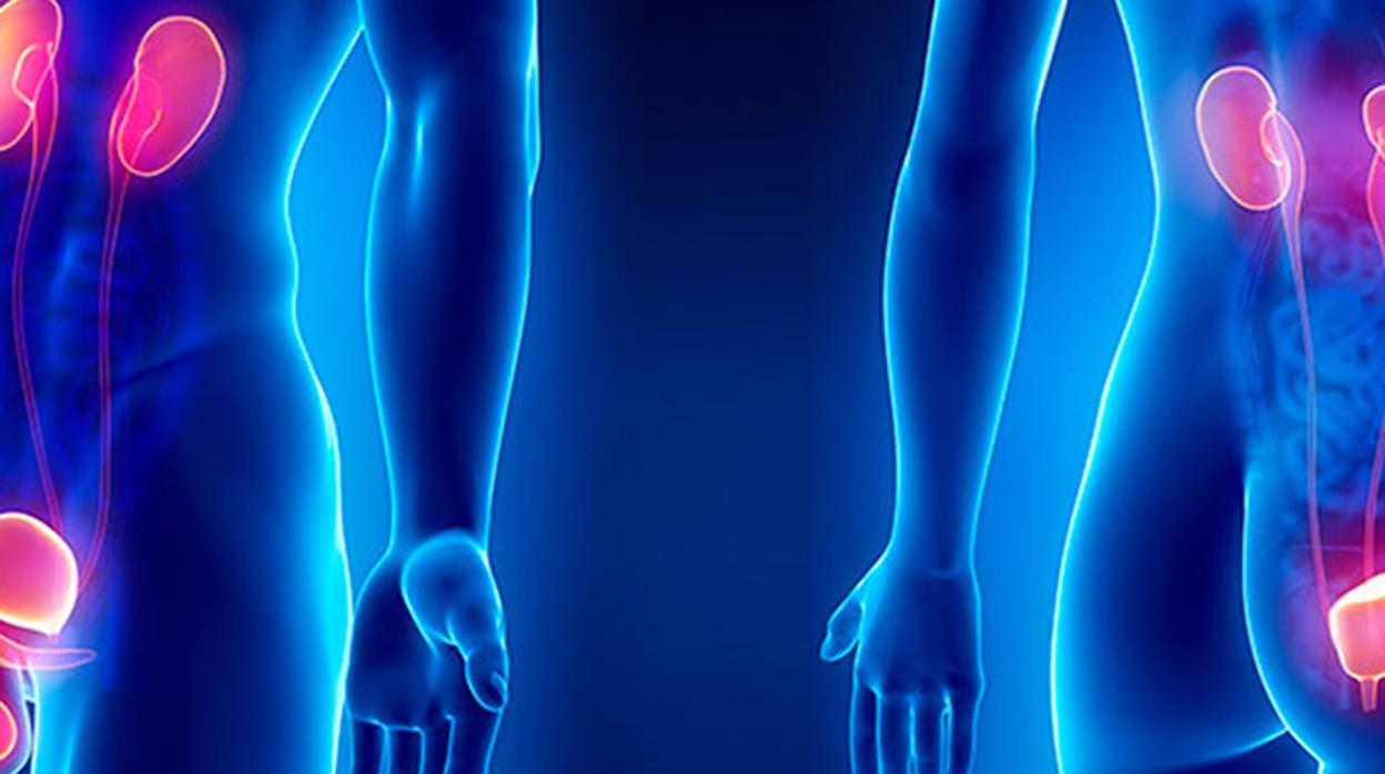 Disfunción eréctil, un problema con solución