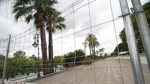 Las grandes obras de Sevilla han costado 500 millones de euros más del precio establecido