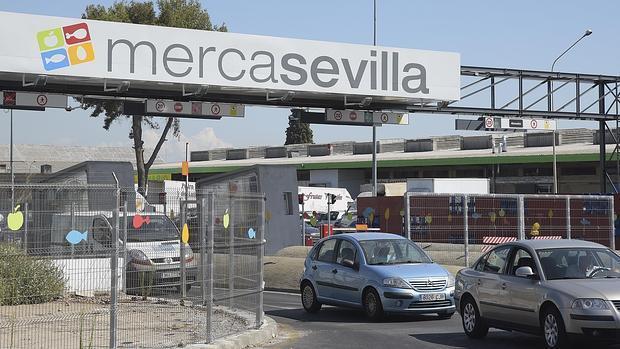 El TS confirma la sentencia que declara «ajustado a derecho» el ERE de Mercasevilla de 2013