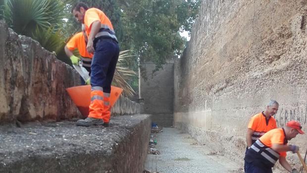 Retiran más de seis toneladas de basura de la muralla de la Macarena