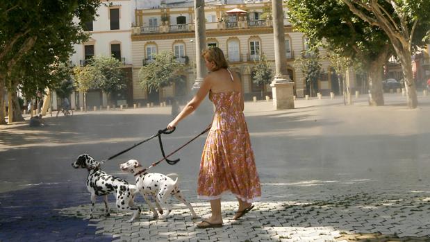 Una mujer pasea a sus perros por la Alameda de Hércules