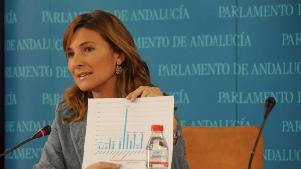 «¿El Gobierno de Susana Díaz se va a dedicar a su campaña o a los problemas de las personas?»