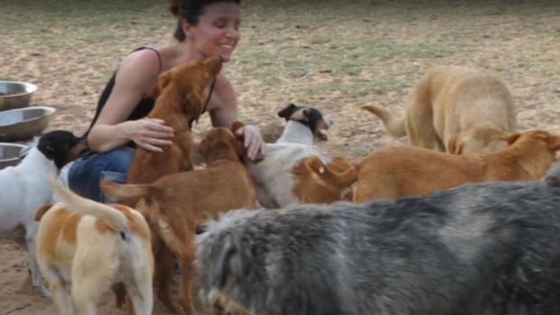 Matan a varios perros tirándolos desde la valla de una protectora en Sevilla