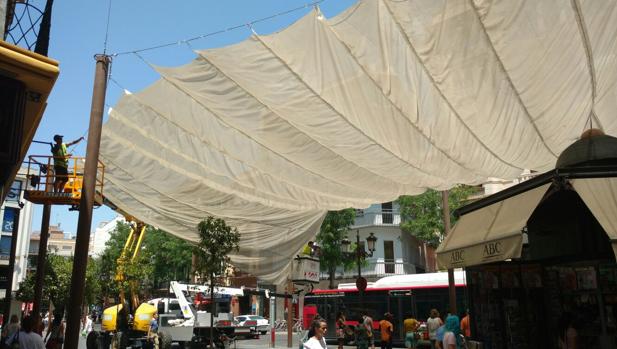 El Ayuntamiento de Sevilla coloca los toldos en el Centro tras la ola ...