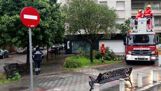 Tiempo en Sevilla: La capital registra más de 50 incidencias por la lluvia y el fuerte viento que alcanzó los 72 km/h