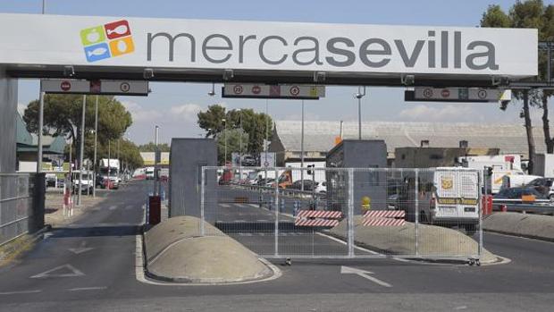 El Ayuntamiento planea adquirir el cien por cien
de Mercasevilla