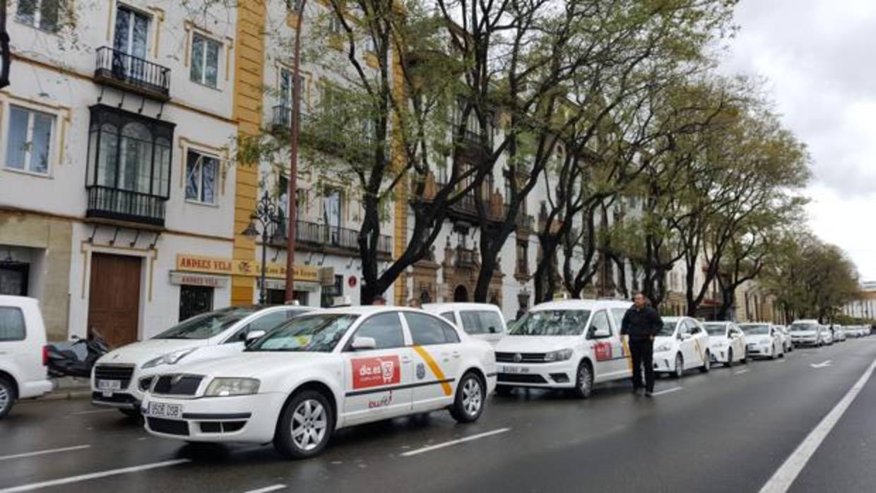 Taxis en el Paseo de Colón