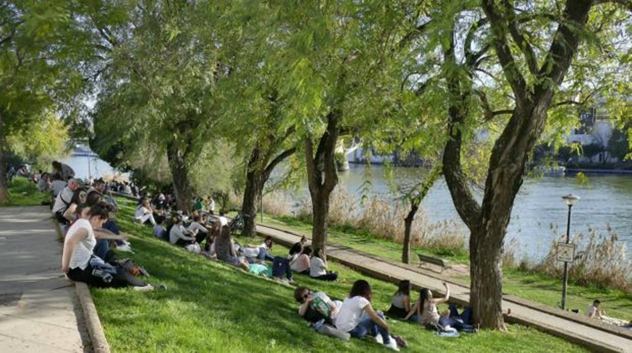 Sevilla ha registrado estos días temperaturas altas en la capital