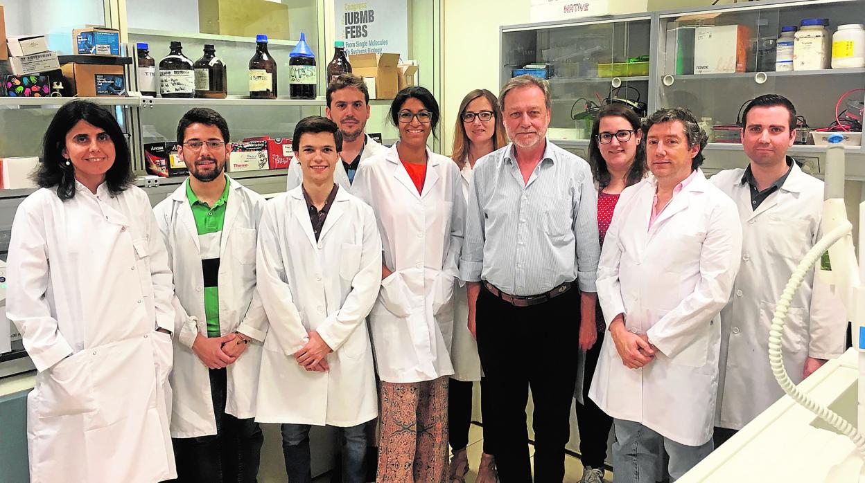 Equipo de investigadores encargado del estudio
