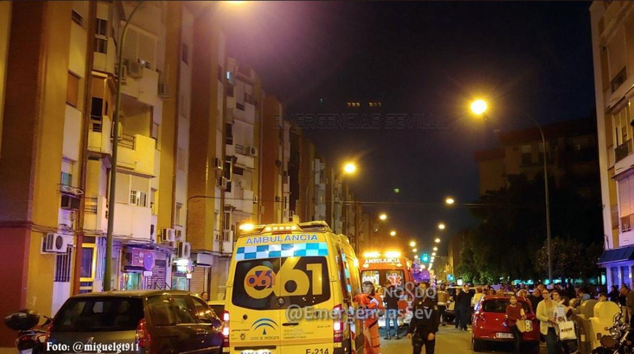 Los servicios municipales en la Avenida Pino Montano de Sevilla