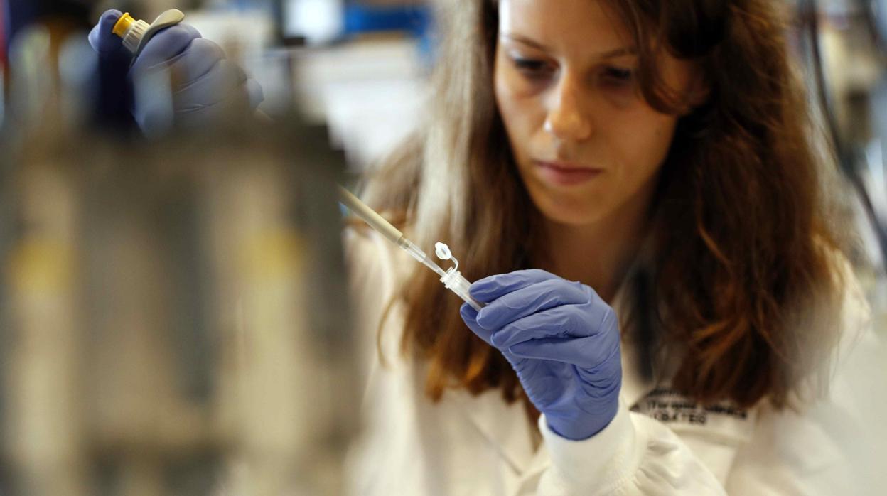 La investigación sigue al alza en la Univerisdad de Sevilla
