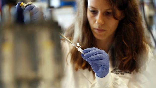 Las patentes de la Universidad de Sevilla pisan fuerte en la investigación