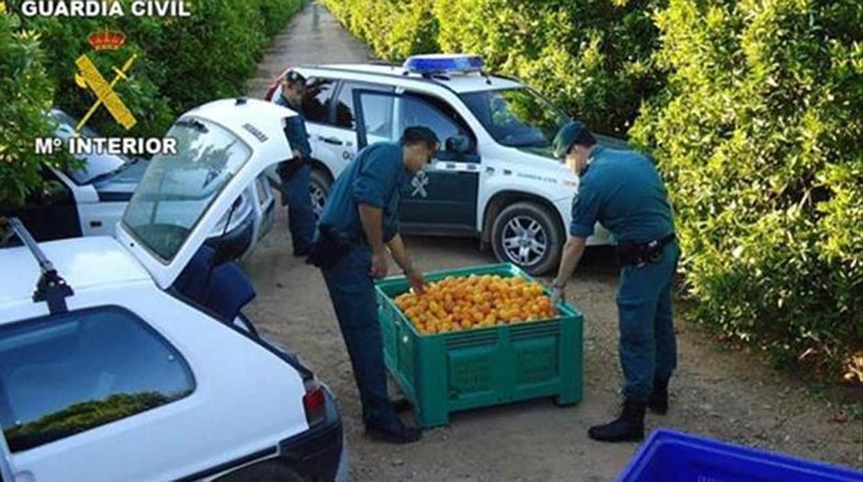 Imagen de archivo de una intervención policial de uno de los equipos Roca