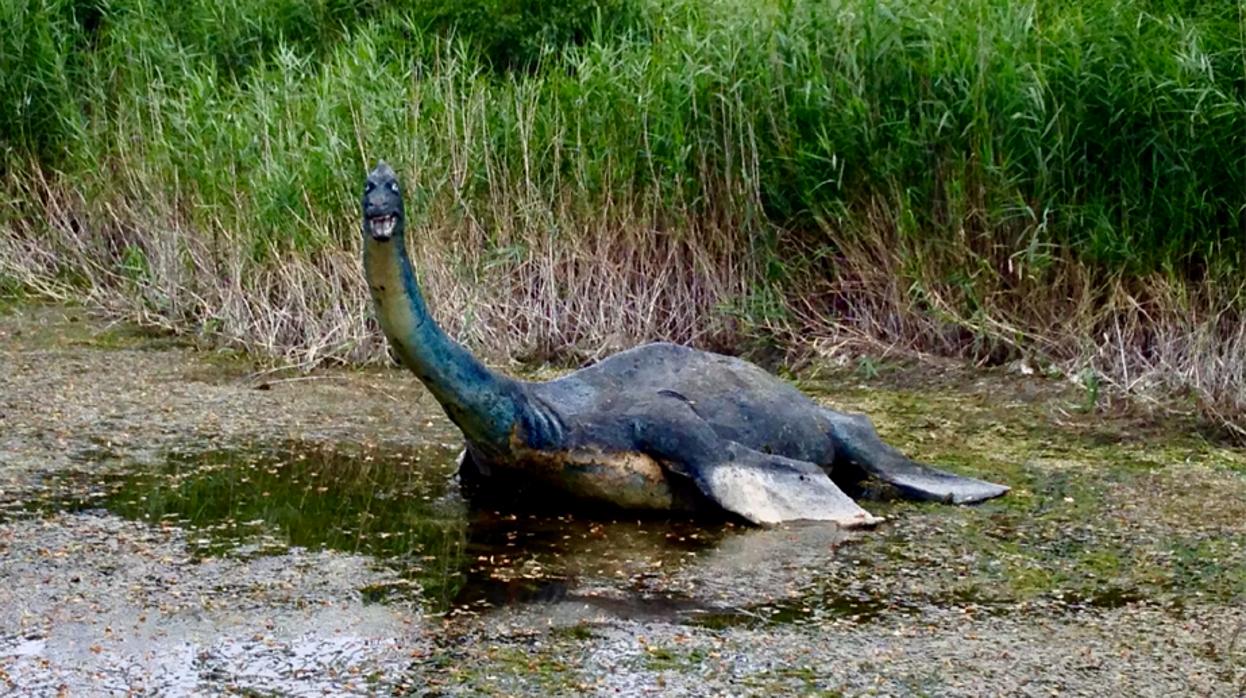 La aparición del extraño animal sucedió hace medio siglo