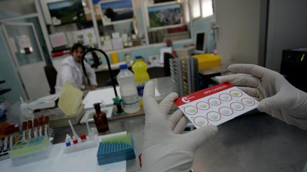 Las aplicaciones para ligar disparan el número de  enfermedades de transmisión sexual en Sevilla