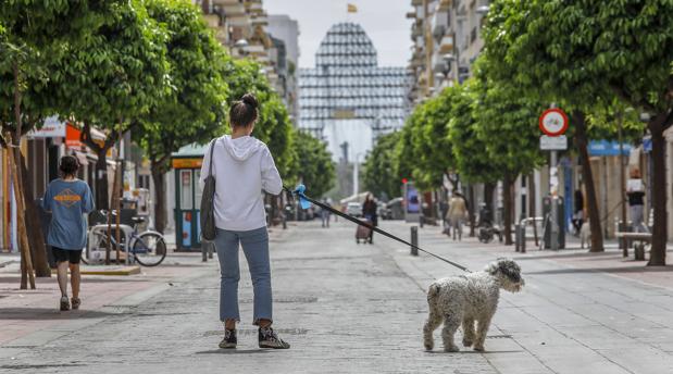 Décimo día de encierro en Sevilla: ¡Ya queda menos!