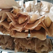 Bolsas de comida