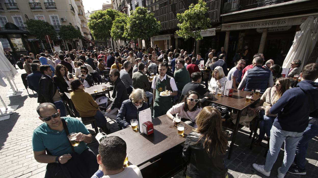 Veladores en la plaza del Salvador